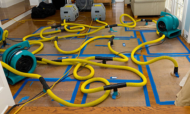 Professional Crawl Space Water Removal technician working in Selden, NY
